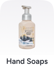/beauty-and-health/beauty/personal-care-16343/hand-washes/bath_body_works?sort[by]=popularity&sort[dir]=desc&limit=50