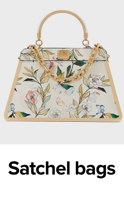 /fashion/women-31229/handbags-16699/satchel-bags?sort[by]=popularity&sort[dir]=desc&limit=50