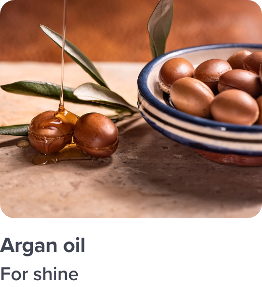 /argan-ingredient-haircare/