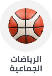 /sports-and-outdoors/sports/team-sports?sort[by]=popularity&sort[dir]=desc