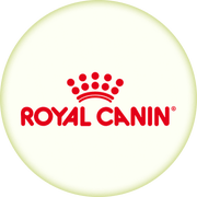 /noon-supermarket/royal_canin/