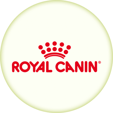 /noon-supermarket/royal_canin/