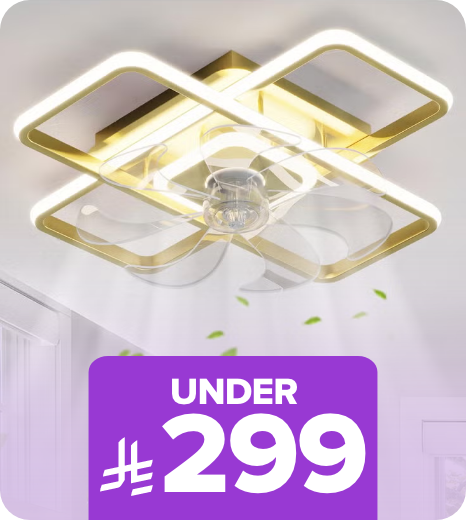 /home-and-kitchen/home-decor?f[isCarousel]=true&f[price][min]=200&f[price][max]=299&sort[by]=popularity&sort[dir]=desc&limit=50&page=1&av=0&isCarouselView=false