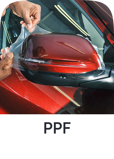 /ppf-only-ae