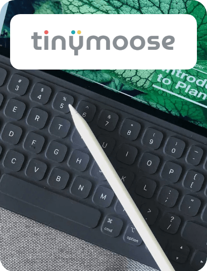 /electronics-and-mobiles/tinymoose?sort[by]=popularity&sort[dir]=desc&limit=50