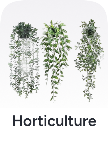 /home-and-kitchen/patio-lawn-and-garden/horticulture-plants-seeds/