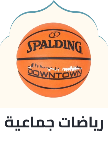 /sports-and-outdoors/sports/team-sports?sort[by]=popularity&sort[dir]=desc&limit=50