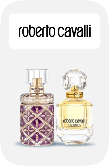 /roberto_cavalli?sort[by]=popularity&sort[dir]=desc&limit=50