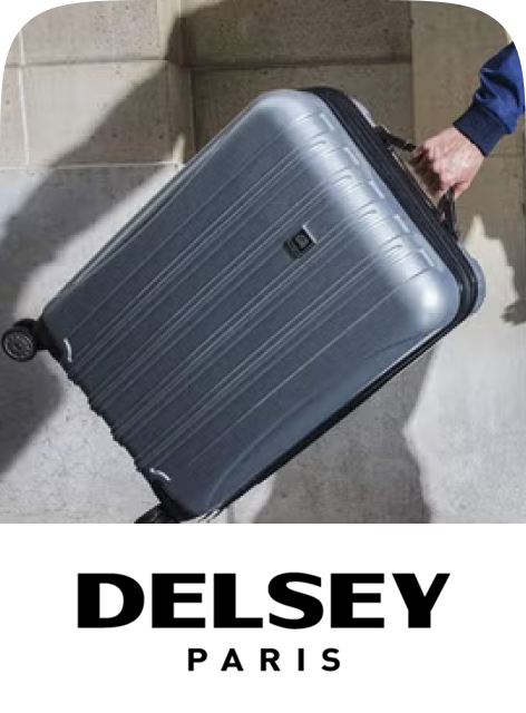 /fashion/luggage-and-bags/delsey/?sort[by]=popularity&sort[dir]=desc&limit=50&page=1&isCarouselView=false