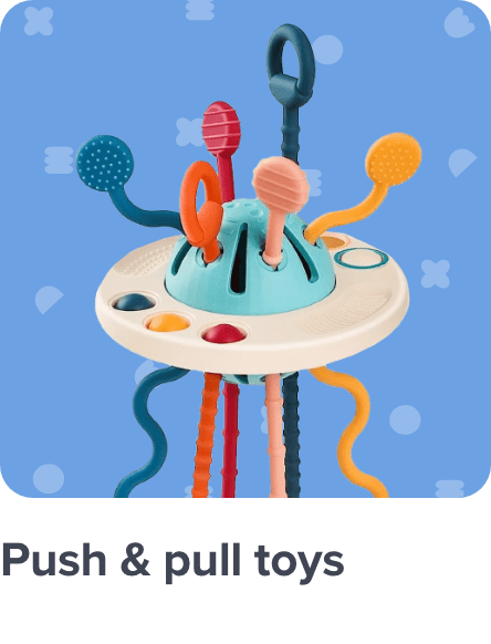 /toys-and-games/baby-and-toddler-toys/push-and-pull-toys-20494?sort[by]=popularity&sort[dir]=desc&av=0&limit=50