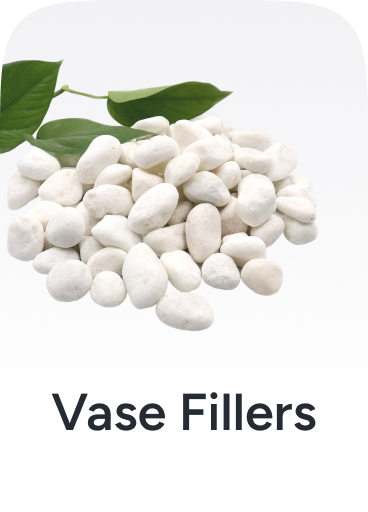 /home-and-kitchen/home-decor/vases-parts-and-accessories/vase-fillers/
