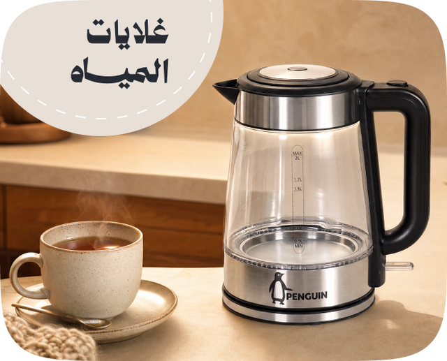 /home-and-kitchen/home-appliances-31235/small-appliances/kettles/