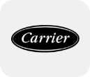 /home-and-kitchen/home-appliances-31235/carrier?sort[by]=popularity&sort[dir]=desc&limit=50