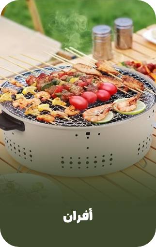/sports-and-outdoors/outdoor-recreation/camping-and-hiking-16354/camp-kitchen/camp-stove/