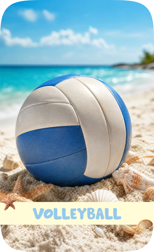 /sports-and-outdoors/sports/team-sports/