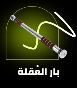 /sports-and-outdoors/exercise-and-fitness/strength-training-equipment/strength-training-equipments/pull-up-bars/