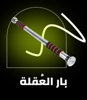 /sports-and-outdoors/exercise-and-fitness/strength-training-equipment/strength-training-equipments/pull-up-bars/