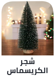 /eg-dec25-home-xmas-trees/