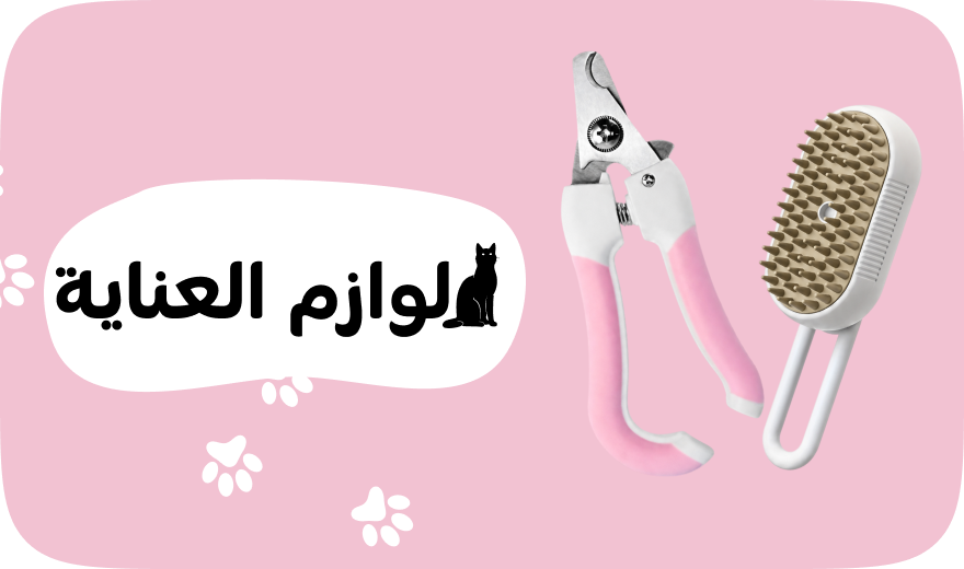 /eg-may26-pet-grooming