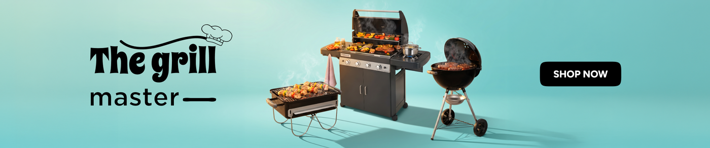 /home-and-kitchen/patio-lawn-and-garden/campingaz/weber/