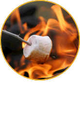 /sports-and-outdoors/outdoor-recreation/camping-and-hiking-16354/camp-kitchen/camp-stove/?sort[by]=popularity&sort[dir]=desc&limit=50&page=1&isCarouselView=false