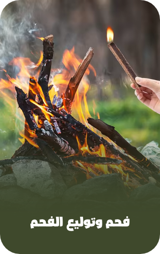 /sports-and-outdoors/outdoor-recreation/camping-and-hiking-16354/camp-kitchen/charcoals-fuel-firestarters/