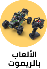 /toys-and-games/toy-remote-control-and-play-vehicles?sort[by]=popularity&sort[dir]=desc&limit=50