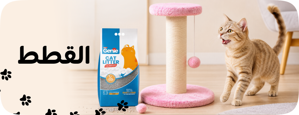 /pet-supplies/cats-16737/?limit=50&sort%5Bby%5D=new_arrivals&sort%5Bdir%5D=desc