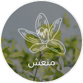 /eg-lld-fresh/?sort[by]=popularity&sort[dir]=desc&limit=50