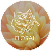 /eg-lld-floral/?sort[by]=popularity&sort[dir]=desc&limit=50