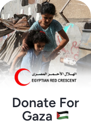 https://egyptianrc.org/en/donation