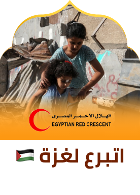 https://egyptianrc.org/en/donation