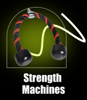/sports-and-outdoors/exercise-and-fitness/strength-training-equipment/exercise-machines/home-gyms/
