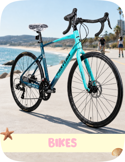 /sports-and-outdoors/cycling-16009/bikes/