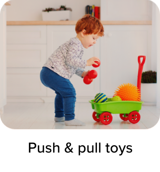 /toys-and-games/baby-and-toddler-toys/push-and-pull-toys-20494?sort[by]=popularity&sort[dir]=desc&limit=50