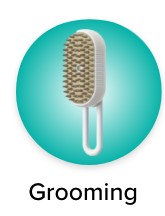 /pet-supplies/dogs-16275/grooming-23314/