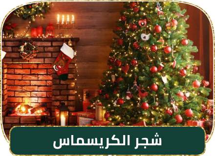 eg-dec25-home-xmas-trees/