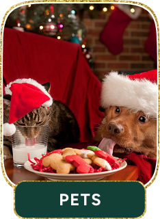 /pet-supplies/
