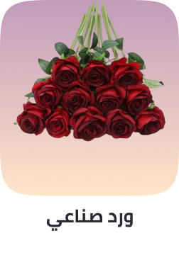 /home-and-kitchen/home-decor/artificial-flora/artificial-flowers/