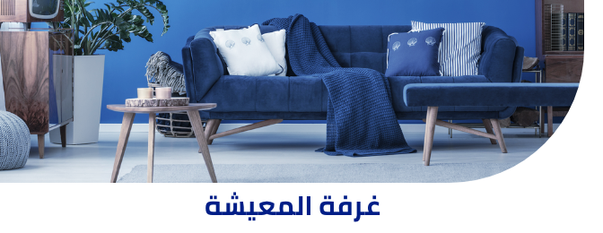 /eg-cleaning-living-room