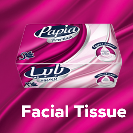 /grocery-store/home-care-and-cleaning/paper-plastic-wraps/toilet-tissues/papia?sort[by]=popularity&sort[dir]=desc&limit=50