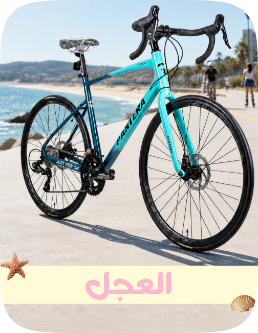/sports-and-outdoors/cycling-16009/bikes/