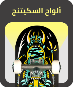 /sports-and-outdoors/action-sports/skateboarding-20415?sort[by]=popularity&sort[dir]=desc&limit=50