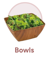 /home-and-kitchen/kitchen-and-dining/serveware/bowls-19061/?sort%5Bby%5D=popularity&sort%5Bdir%5D=desc&limit=50&page=1&isCarouselView=false