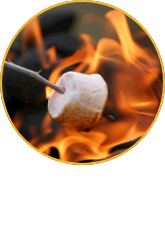 /sports-and-outdoors/outdoor-recreation/camping-and-hiking-16354/camp-kitchen/camp-stove/?sort[by]=popularity&sort[dir]=desc&limit=50&page=1&isCarouselView=false