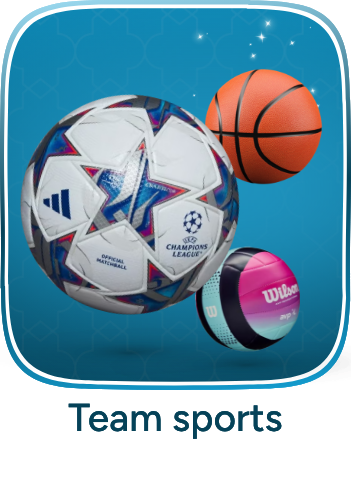 /sports-and-outdoors/sports/team-sports/?isCarouselView=false&limit=50&sort%5Bby%5D=popularity&sort%5Bdir%5D=desc