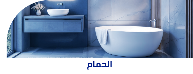 /eg-cleaning-bathroom