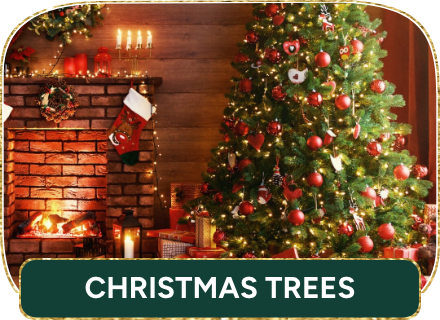 eg-dec25-home-xmas-trees