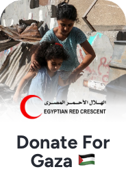 https://egyptianrc.org/en/donation
