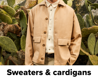 /fashion/men-31225/trendyol/?sort[by]=popularity&sort[dir]=desc&limit=50